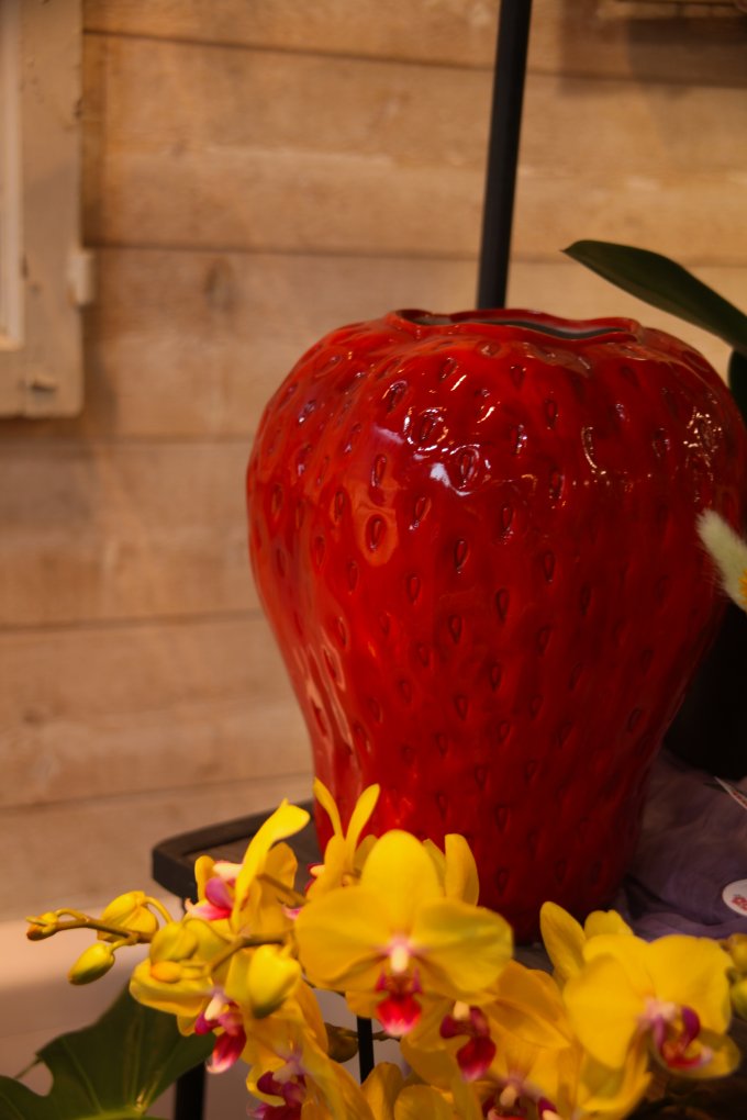 Un parfum de souvenir et de tendresse photo 26